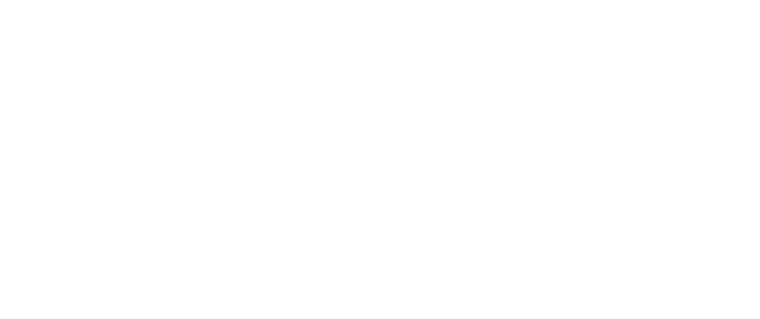 Lilium Digital LLC